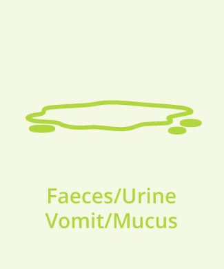 faeces urine and vomit stain removal from leather items like furniture and clothes