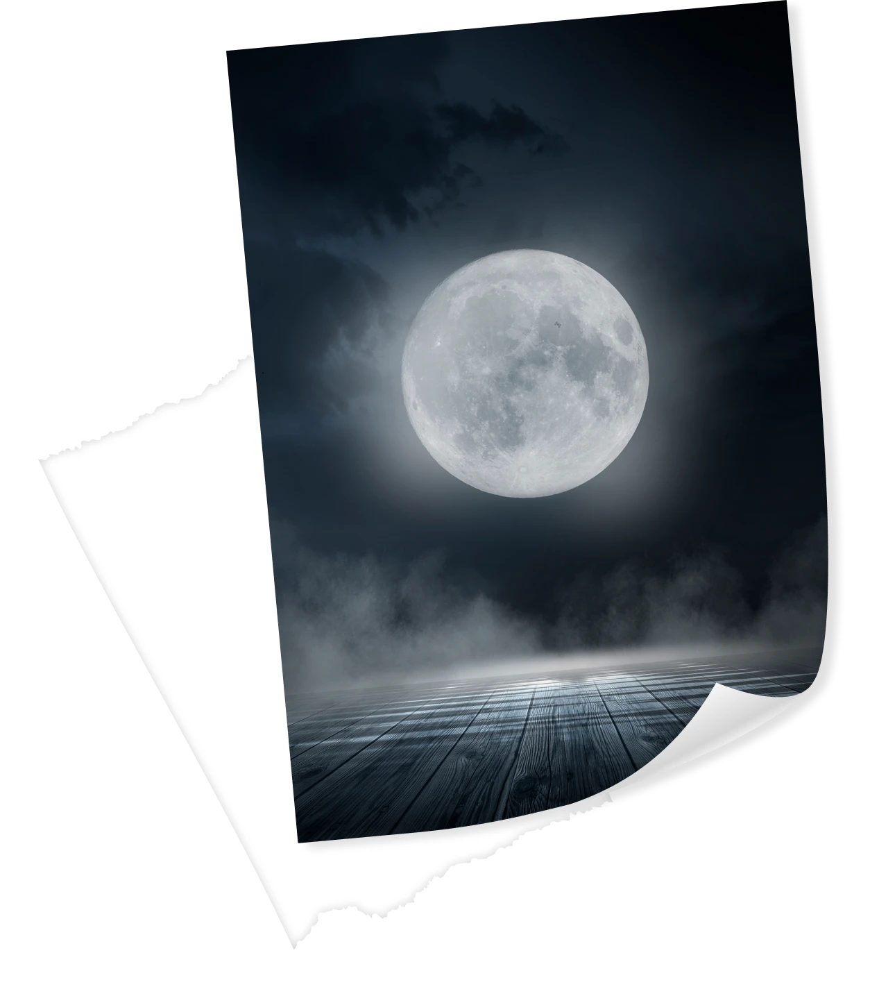 A Trip The Moon Image_