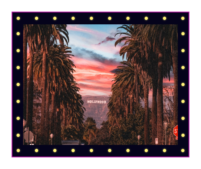 hollywood palm trees banner