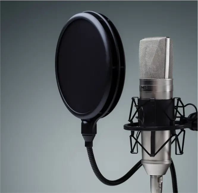 Strike the Puffin - img