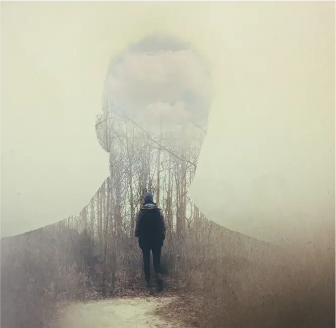 Superimposition - img