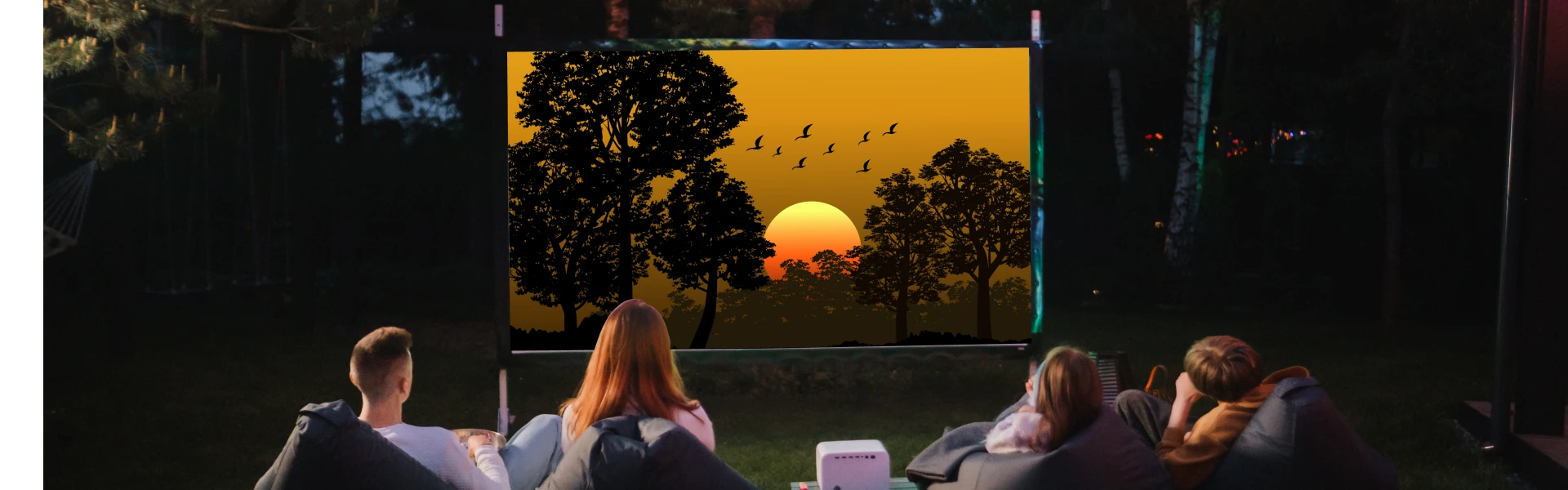 DIY Screen Home Theater