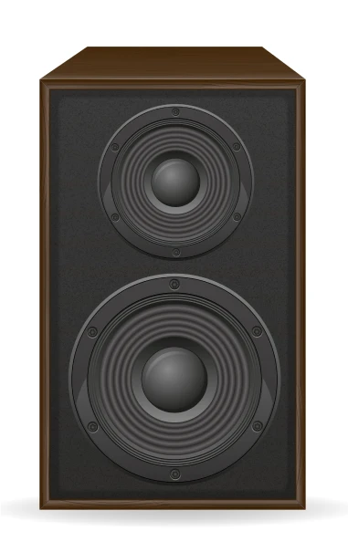Front Left and Right Speakers 1
