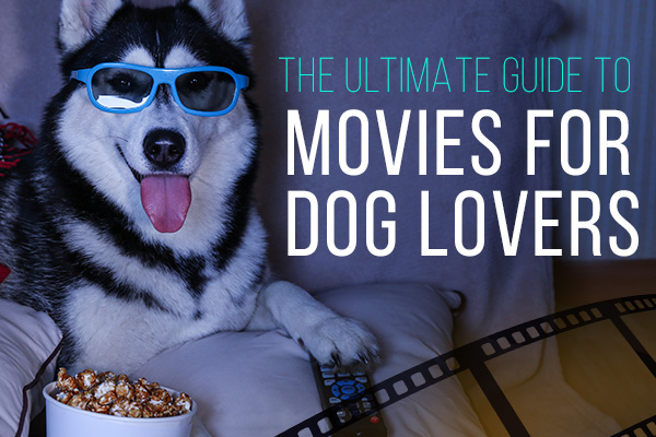 Guide to Movies for Dog Lovers