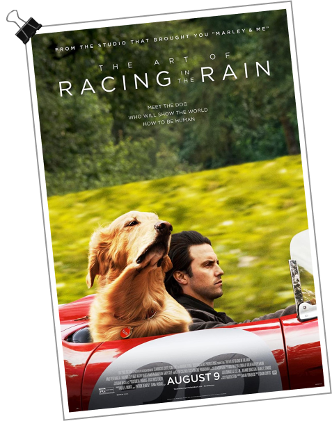 racing in the rain