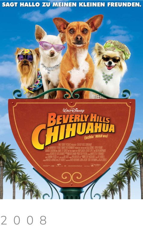 beverly hills chihuahaua