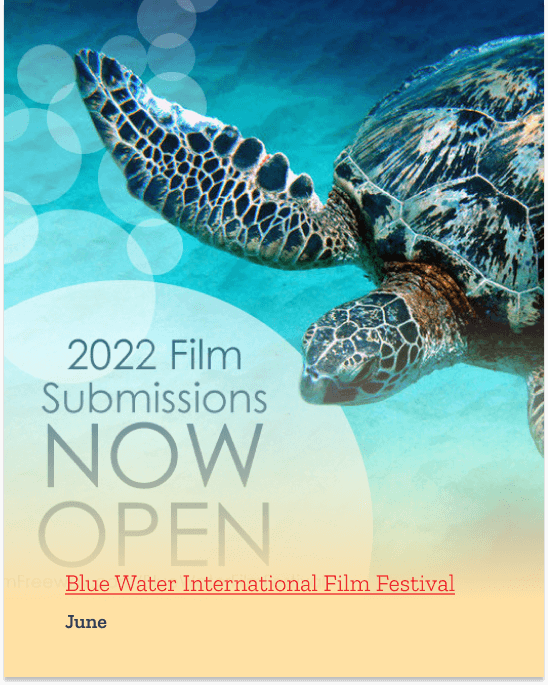 2022 film submissions