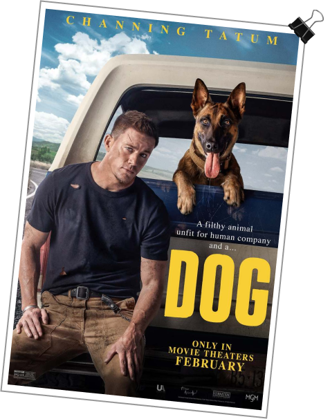 dog movie poster