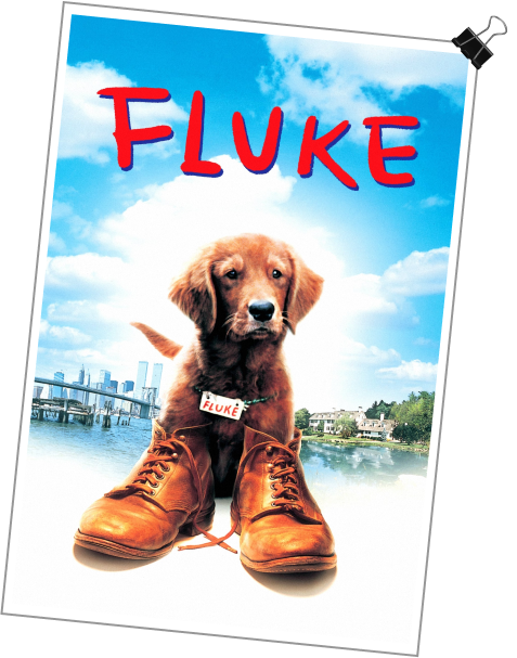 fluke movie poster