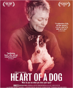 heart of a dog poster