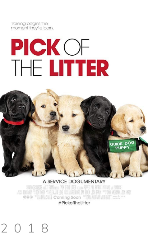 pick of the litter poster