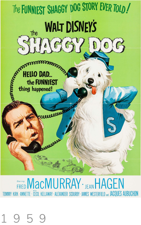 shaggy dog poster