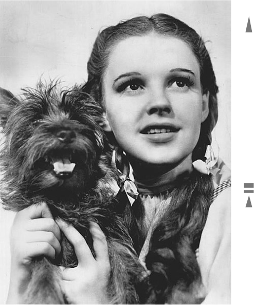 dorothy and toto