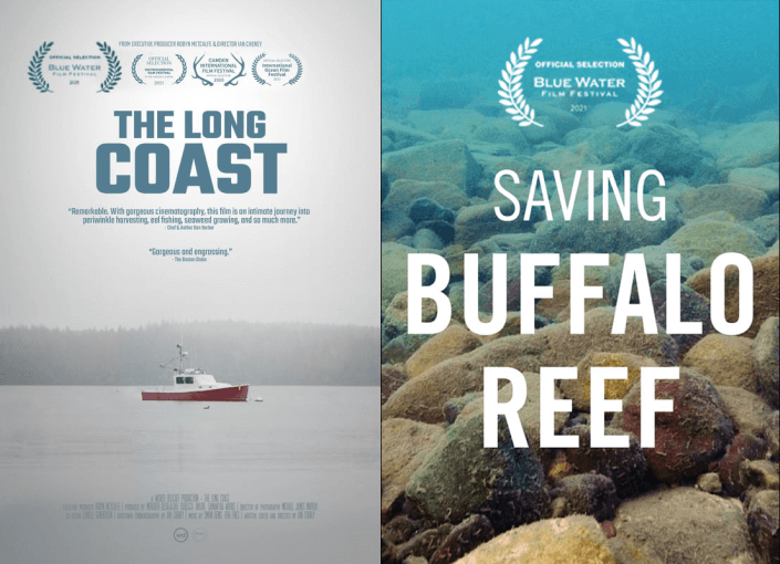 saving buffalo reef