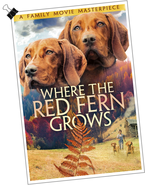 where the red fern grown poster