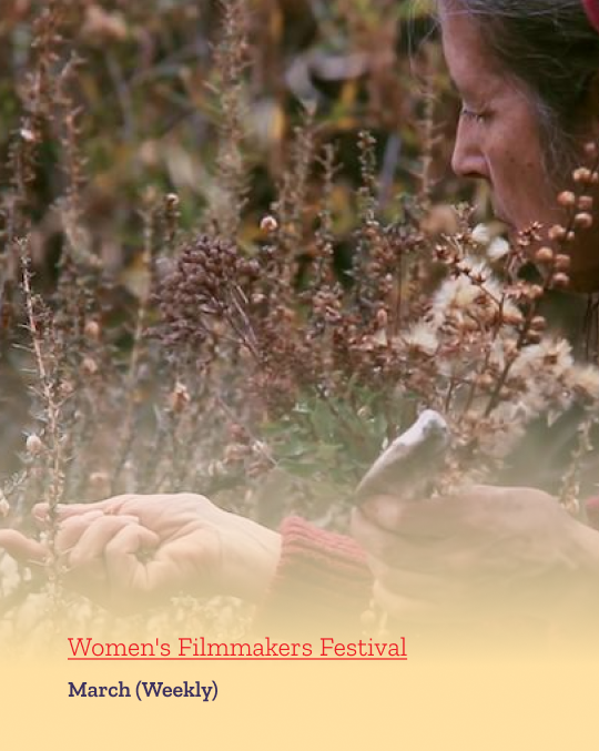 womens filmaker festival