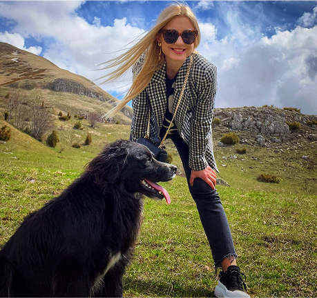 An Evolution Dog Movie 1 Image