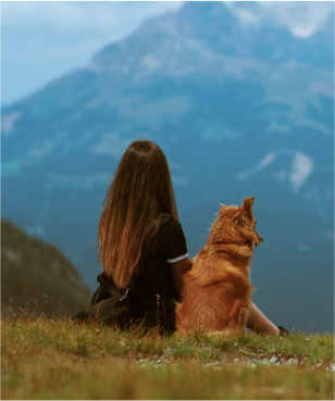 An Evolution Dog Movie 3 Image_