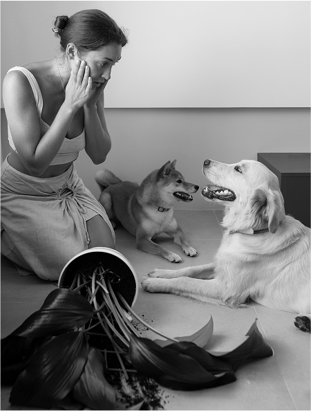 Beasley Dogue Bordeaux Image