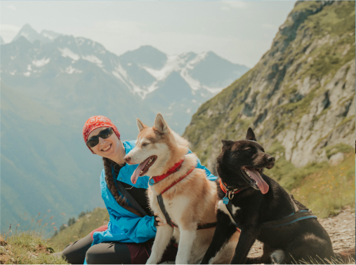 Binge Worthy Dog Tv Shows 4 Image