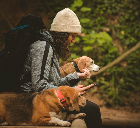 Dog Movie For kids Image 1