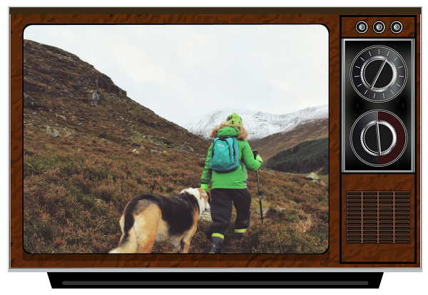 Dog With A Blog Image