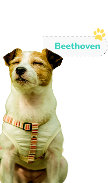 Famous Movie Dog 1 Image