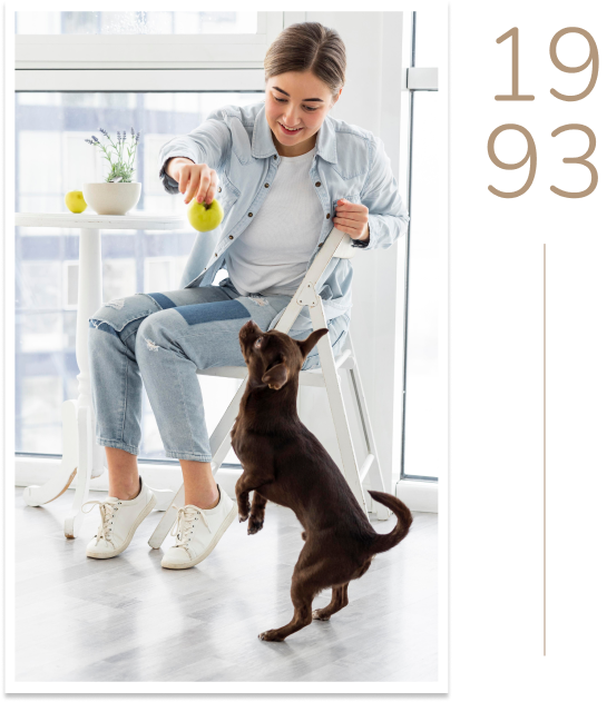 HOMEWARD BOUND- THE INCREDIBLE JOURNEY Image