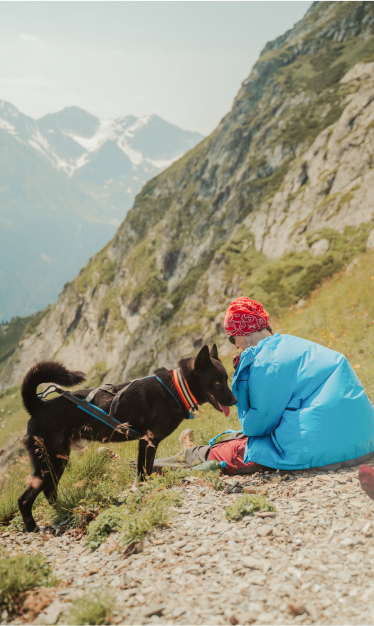 Lassie Come Home Image