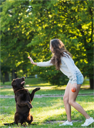 Most Iconic Dog Movies Image 2