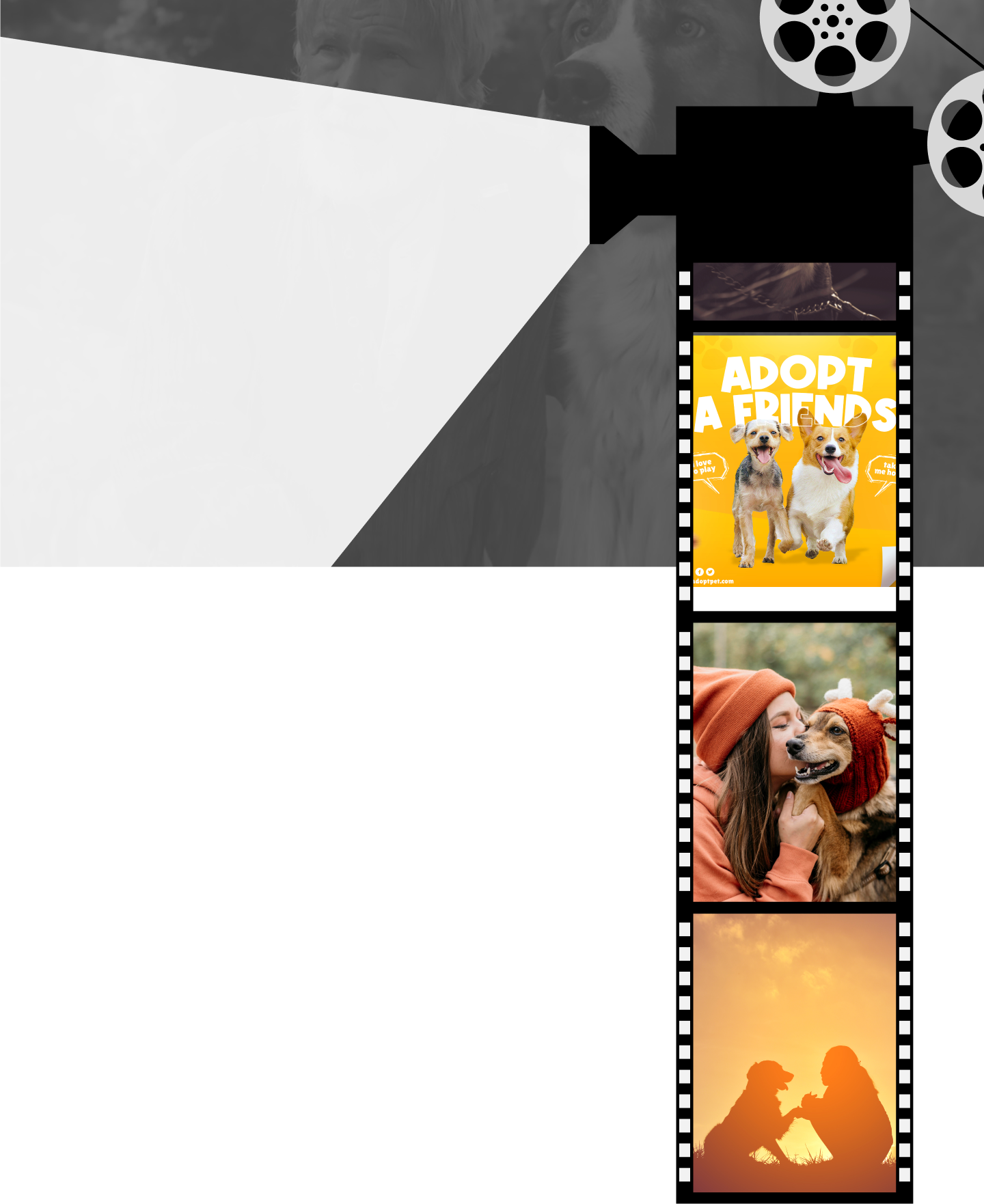 Movie Dog Lover Image