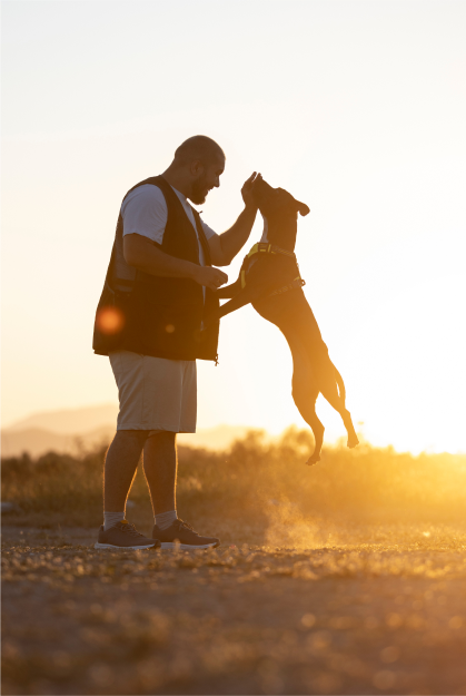 Red Dog True Blue Image