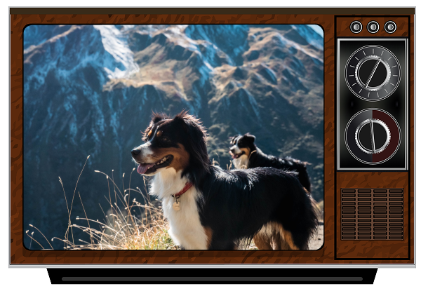 Scooby Doo Where Are You Image