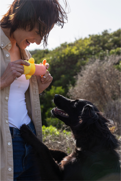 The Curse Of The Were Rabbit Image