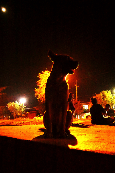 The Fox And The Hound Images