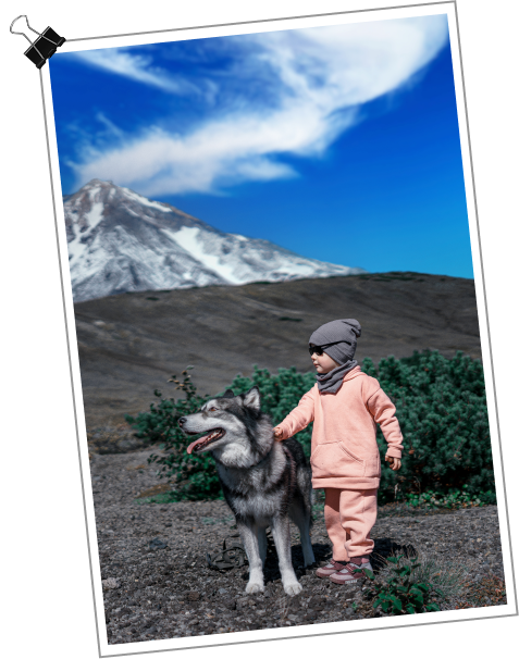 The Plague Dogs Image