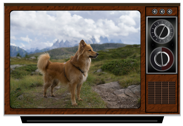 Turner And Hooch Image