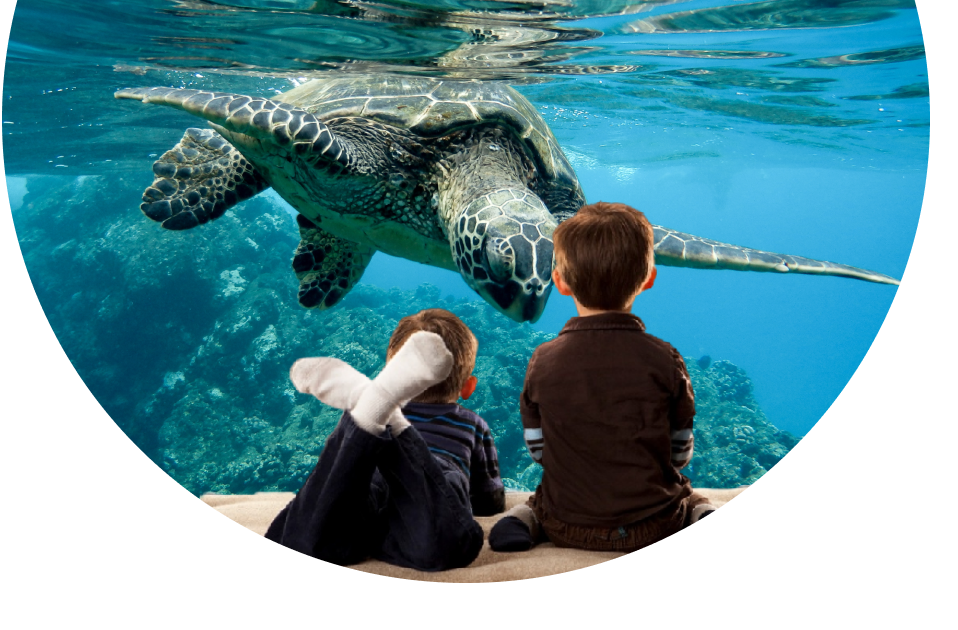 2 Childrens watching Aquarium
