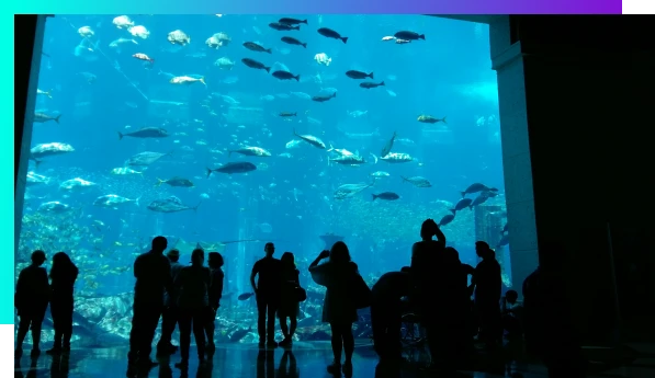 Monterey Bay Aquarium