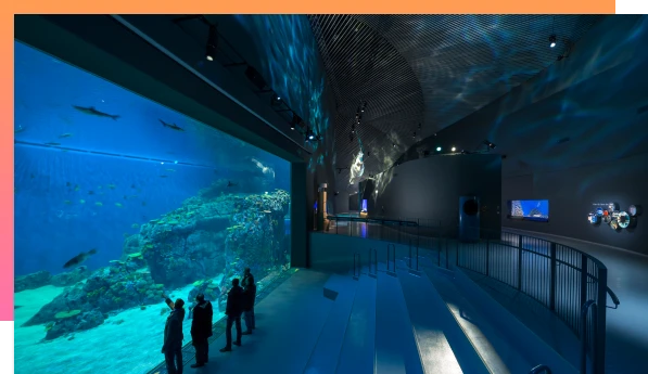 The national Aquarium