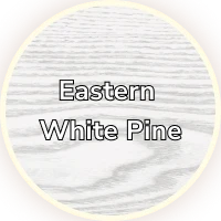 Eastern White Pine