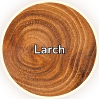 Larch Image
