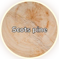 Scots Pine