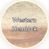 Western Hemlock