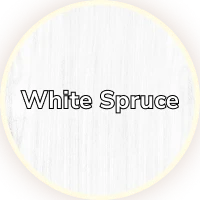 White Spruce