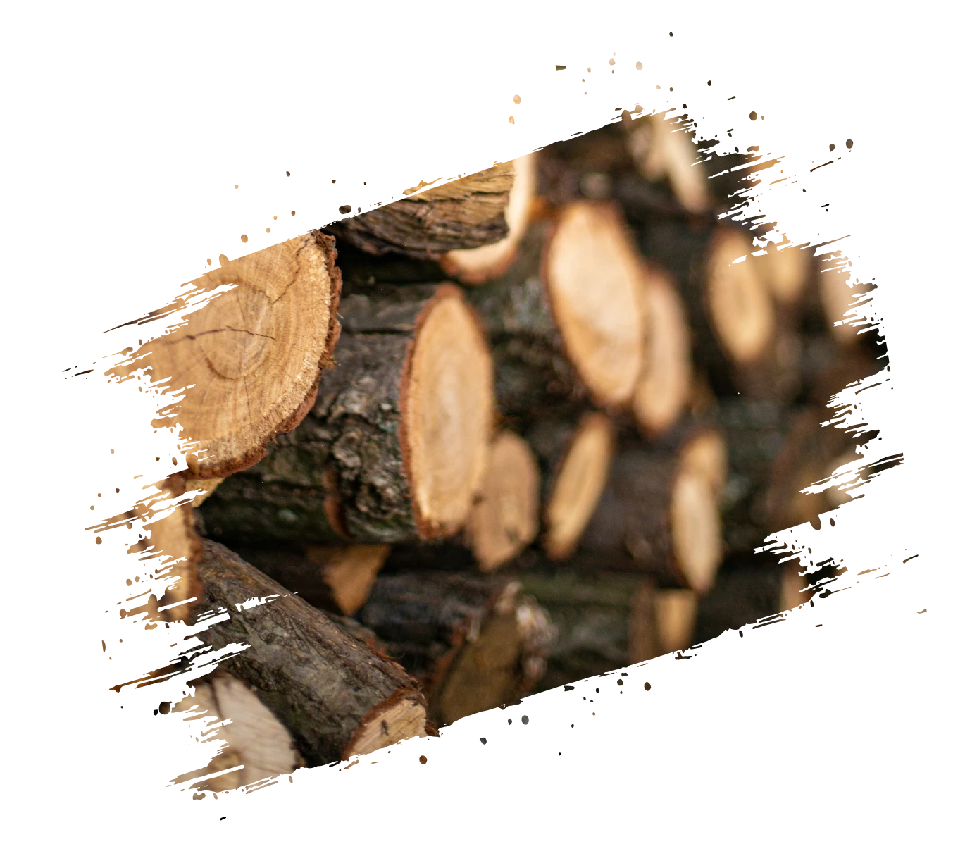 Wood Processing_