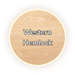 western hemlock