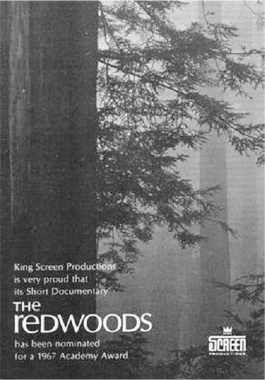redwoods-1967
