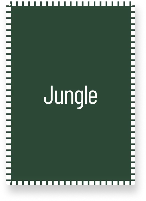 Jungle - img new