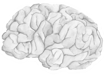 brain-balck-and-white-img